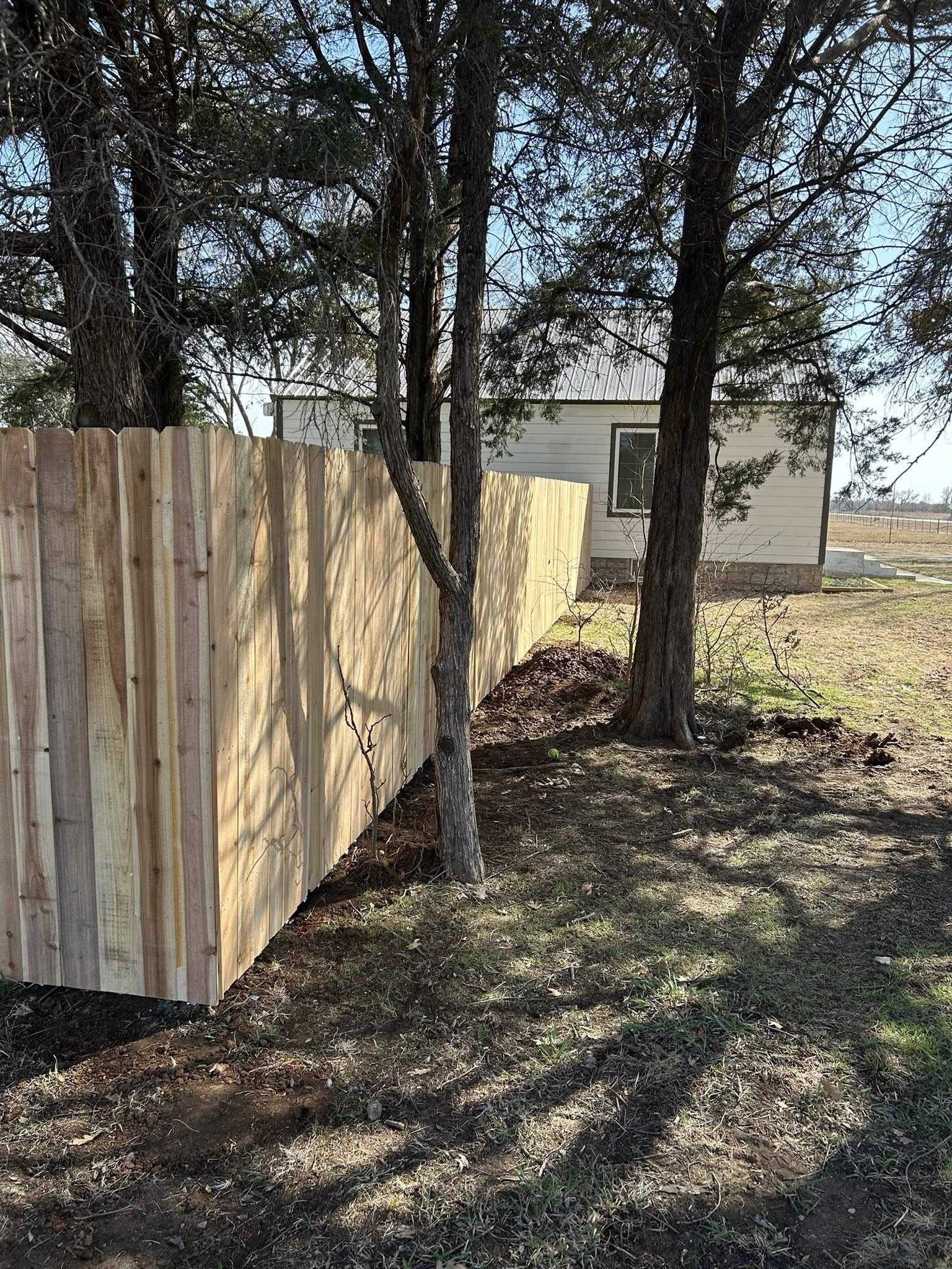 Cedar fence among mature trees